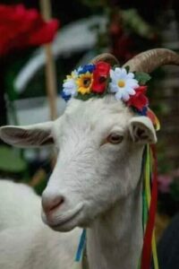 مغادرة الشتاء