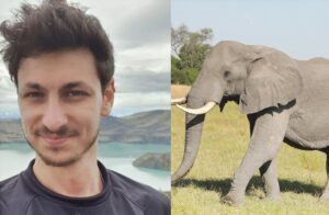 فيل يقتل سائح اسرائيلي خلال توقفه لالتقاط صورة معه