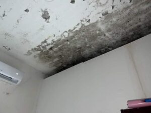 سوء تخزين وانعدام تام للنظافة العامة.كل هذا وأكثر رصدته فرق التفتيش بوحدة الكريمية رفقة جهاز الحرس البلدي