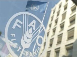 الفاو: 4% من سكان ليبيا يحتاجون مساعدات إنسانية في 2023