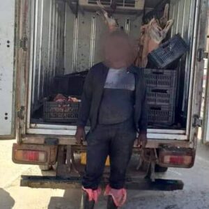 ضبط مركبة نقل تحمل لحوم غير صالحة بلا وثائق