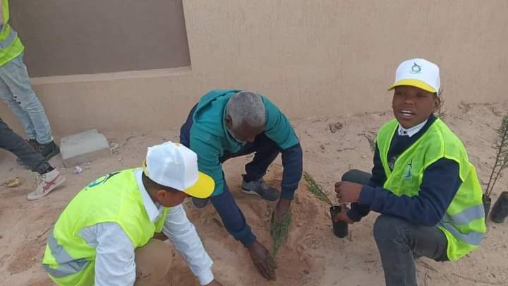 نظمت وكالة الجهود التطوعية تاورغاء بالشراكة مع الألويةالمدرسية حملة تطوعية لتنظيف وتشجير مدرسة نداء ليبيا ببلدية تاورغاء.
