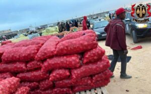 النيابة العامة تضبط مروجي البصل المتعفن