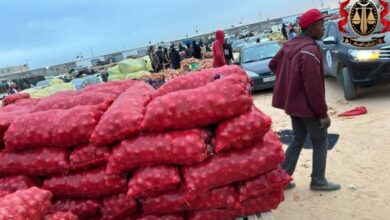النيابة العامة تضبط مروجي البصل المتعفن