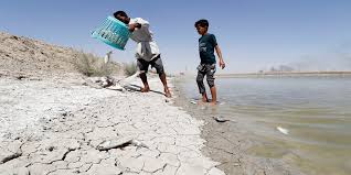 لمواجهة التغيرات المناخية..العراق يطلق مبادرة لزراعة 5 ملايين شجرة