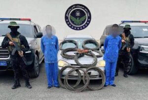 ضبط سارقي الكوابل من الأعمدة الكهربائية أثناء الليل