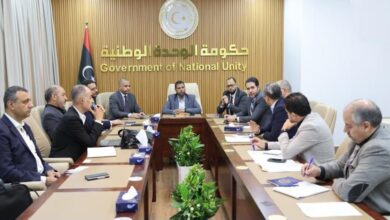 مناقشة مشروعات الحكومة للاستثمار فى الطاقات المتجددة