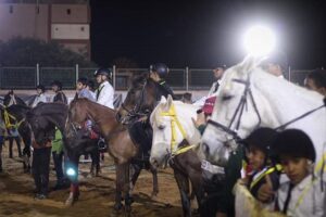بطولة فرسان الجنوب