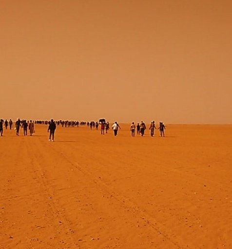 العثور على جثث 9 مهاجرين غير شرعيين أفارقة في الغابات غرب تونس