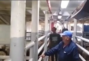 عاجل// الشركة الليبية للموانئ
