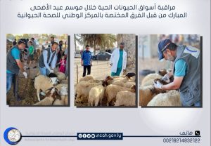 الوطني للصحة الحيوانية : ساهمنا في عيد خالي من الامراض
