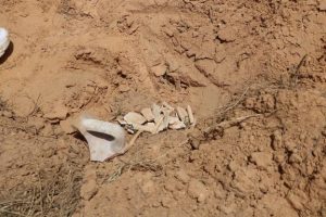بالصور// الداخلية تعلن اكتشاف موقع أثري يعود للعهد الروماني ببلدية المعمورة وتكلف بحمايته