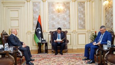 المنفي يتلقى دعوة من نظيره المصري لحضور قمة دول جوار السودان بالقاهرة