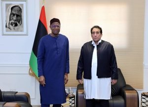 المنفي وباتيلي يبحثان تطورات الأوضاع السياسية