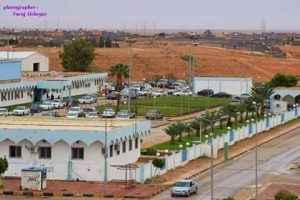78 مصاب بلدغات عقارب ترددوا على مستشفى بني وليد