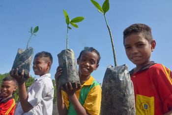 في اليوم الدولي للشباب، الأمين العام يدعو لتزويدهم بـ "المهارات الخضراء" لبناء مستقبل أفضل
