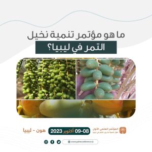 مؤتمر تنمية نخيل التمر في ليبيا: الاستثمار في النخيل لأجل التصدير