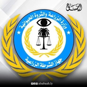 203 مبنى مخالف على ضفتي وادي المجينين