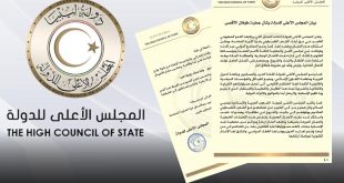 مجلس الدولة يدعو القادة العرب والمسلمين لوقف مجازر الكيان الصهيوني