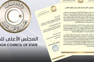 مجلس الدولة يدعو القادة العرب والمسلمين لوقف مجازر الكيان الصهيوني