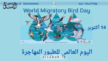 دراسة تأثير تغير المناخ على هجرة الطيور في اليوم العالمي للطيور المهاجرة 