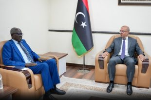 الرئاسي يشدد على أهمية متابعة أوضاع الحدود الليبية السودانية