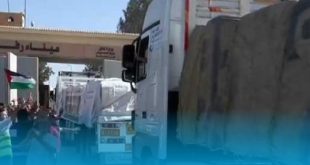 دخول 20 شاحنة مساعدات طبية وأدوية عبر معبر رفح
