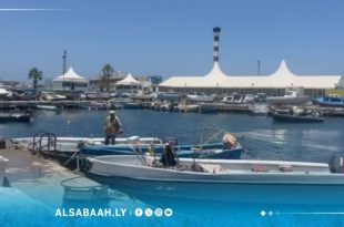 نشـــرة الصيـــد البحري 