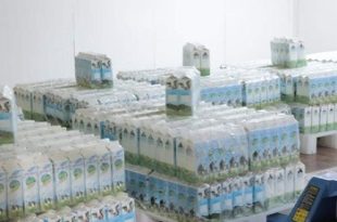 تجاوز إنتاج مصنع حليب استثمار مياه النهر الصناعي 3200 لتر يومياً