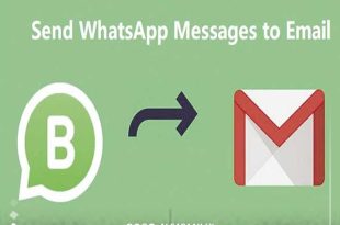 واتساب تطلق ميزة جديدة