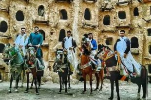 بدء تنفيذ مشروع مقر نادي الفروسية بكاباو