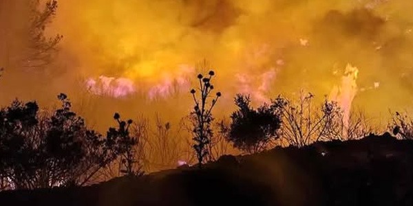 النيران تلتهم 40 هكتارًا تقريبا من وادي الكوف