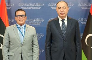 وزير الخارجية يبحث مع السفير المالطي تعزيز العلاقات والتعاون الأمني