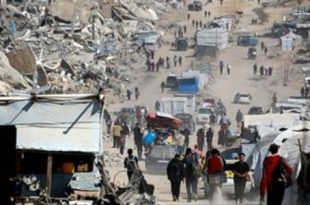 "ستيفاني ويليامز" ترفض خطة ترحيل الفلسطينيين إلى ليبيا