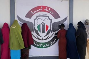 ضبط ثلاث مركبات بالجنوب تنقل مهاجرين غير شرعيين