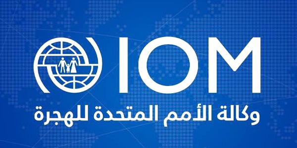 الدولية للهجرة: تحذر من خطر نزوح جماعي بسبب تصاعد العنف في طرابلس