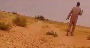 رصد انتشار الجراد "ذبنون" بمنطقة زغيرف جنوب زليتن