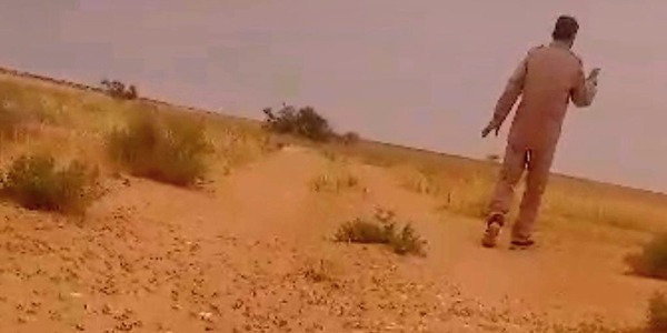 رصد انتشار الجراد "ذبنون" بمنطقة زغيرف جنوب زليتن