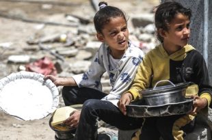الصحة العالمية: المساعدات الداخلة إلى غزة ليست سوى "قطرة في بحر"