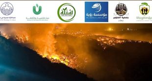 منظمات بيئية تحذر من "كارثة" في الجبل الأخضر وتدعو لتفعيل القوانين ودعم الدفاع المدني