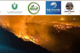منظمات بيئية تحذر من "كارثة" في الجبل الأخضر وتدعو لتفعيل القوانين ودعم الدفاع المدني