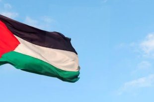 فلسطين ترفع علمها في منظمة الصحة العالمية لأول مرة