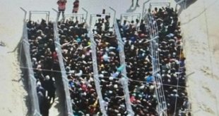 صورة مهينة في رفح.. "معسكرات اعتقال" وحواجز حديدية لتوزيع الطعام