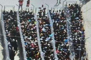 صورة مهينة في رفح.. "معسكرات اعتقال" وحواجز حديدية لتوزيع الطعام