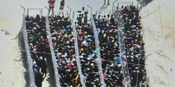 صورة مهينة في رفح.. "معسكرات اعتقال" وحواجز حديدية لتوزيع الطعام