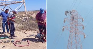 صيانة مكثفة لرفع كفاءة شبكة الكهرباء بالمنطقة الغربية وسرت