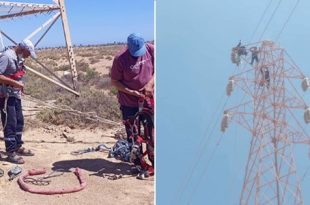 صيانة مكثفة لرفع كفاءة شبكة الكهرباء بالمنطقة الغربية وسرت