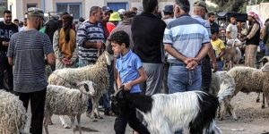 غزة بلا أضاحٍ للعام الثاني