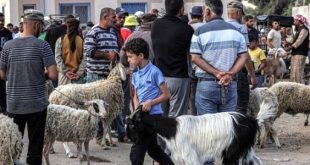 غزة بلا أضاحٍ للعام الثاني