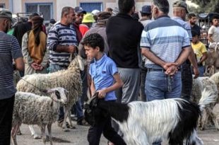 غزة بلا أضاحٍ للعام الثاني